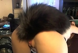 Cute Girl with Raccoon Tail Buttplug on Cam - CamGirlsUntamed.com